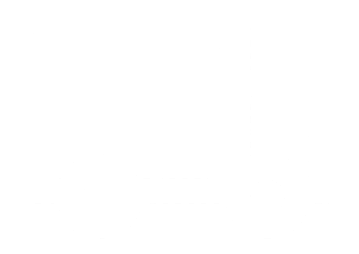 feature-item-1